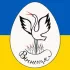 Приватна школа «АІСТ»